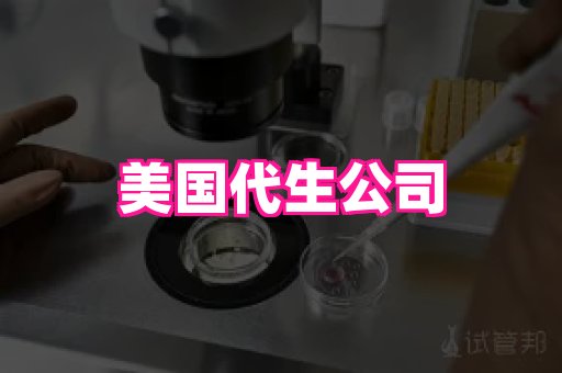 哈尔滨助孕网 4